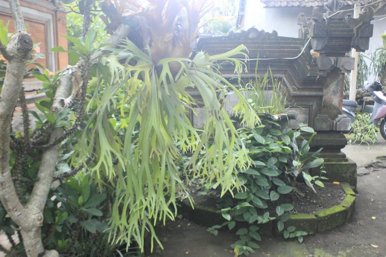 Umah De Arlika Ubud Екстер'єр фото